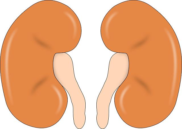 Precautions and Considerations for Kidney Detox