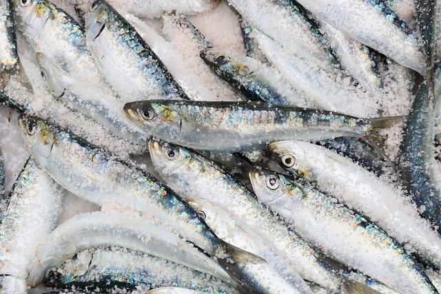 The Recommended Serving Size for Sardines