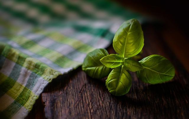 How to Freeze Fresh Herbs for Later Use? Preserve Their Goodness ...